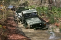 Filename=LN3F0749.JPG
Filesize=475KB
Dimensions=750x500
Date added=Jan 02, 2010 LN3F0749.JPG